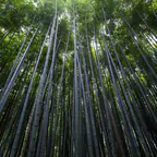 ECU Pro 툴